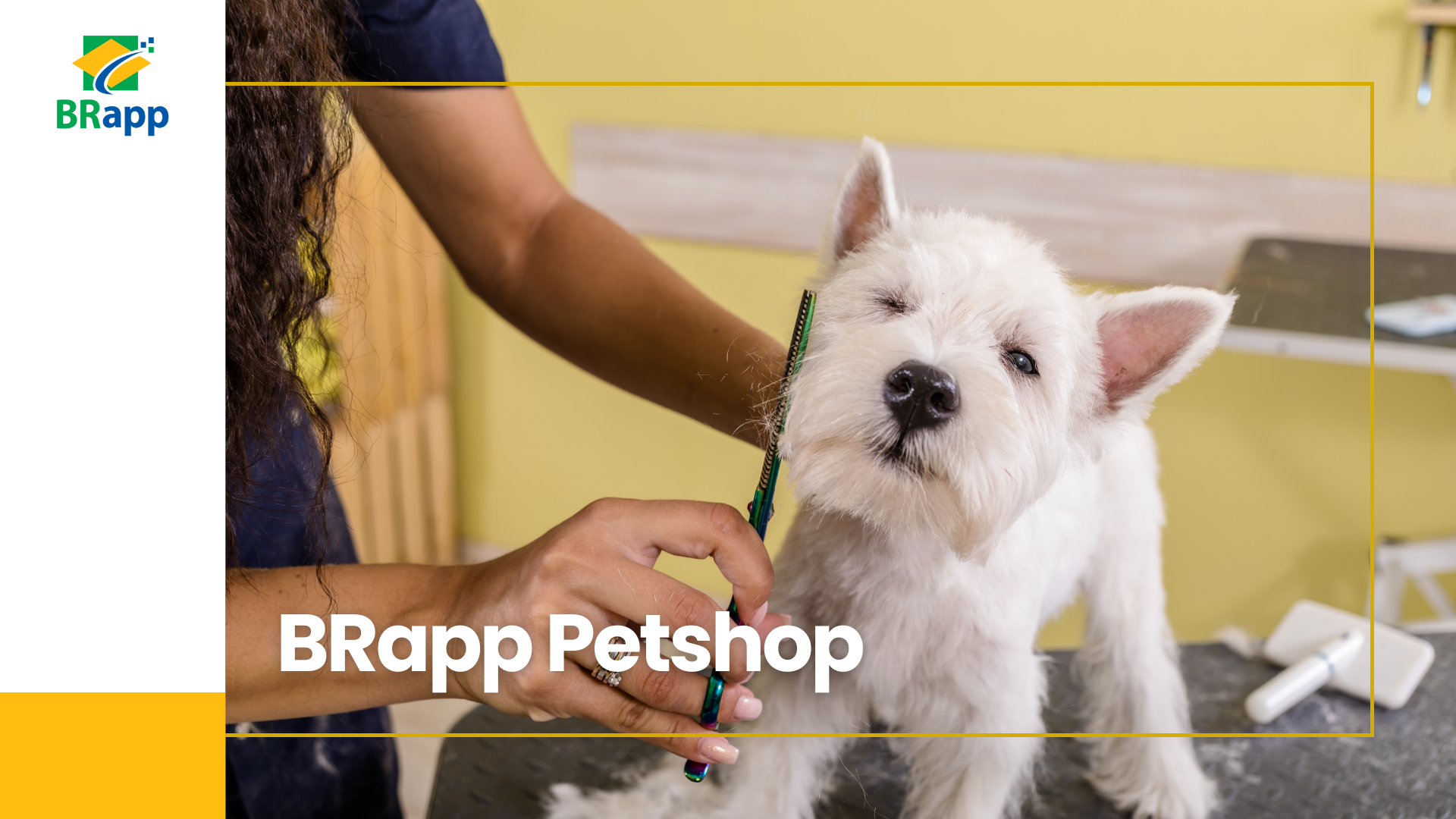 BRapp Petshop